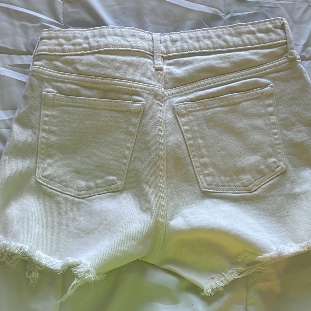 Free Assembly Shorts - Picture 5 of 5